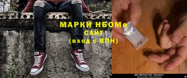шишки Арсеньев