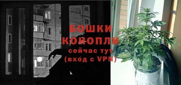 шишки Арсеньев