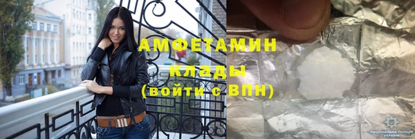 шишки Арсеньев